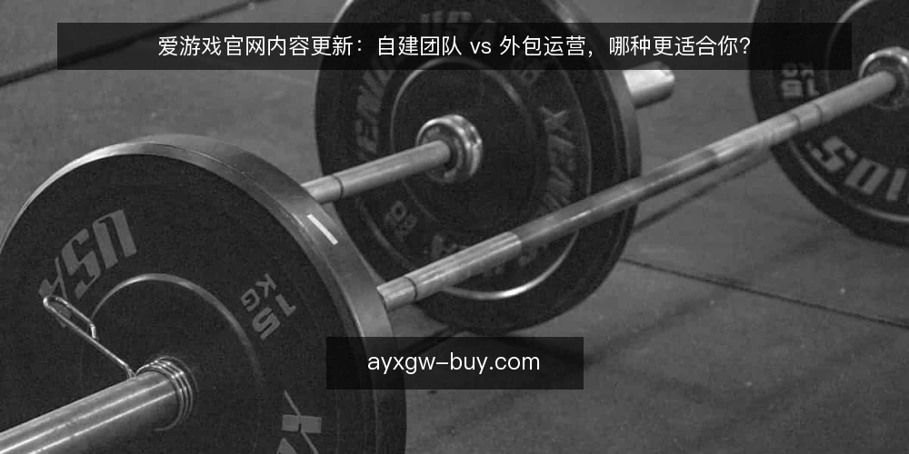 爱游戏官网内容更新：自建团队 vs 外包运营，哪种更适合你？ — 先厘清决策标准：更新目标与资源边界 配图